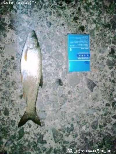 �����ϥ�