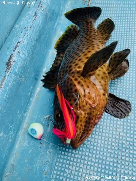 �ڥ����ޥ���ϥ���