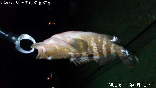 �����ߥ�