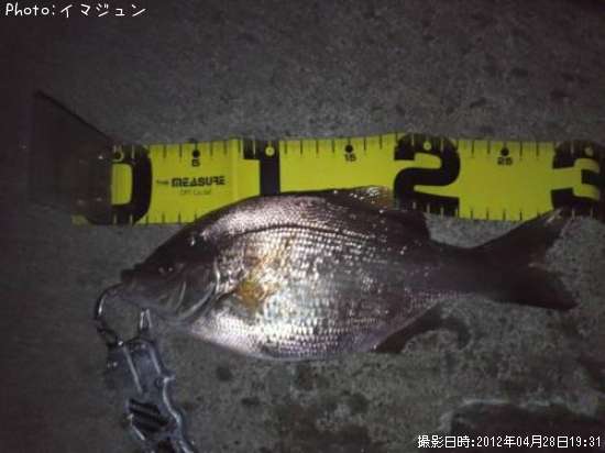 �������ʥ�