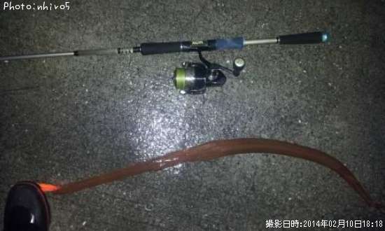 �����䥬��