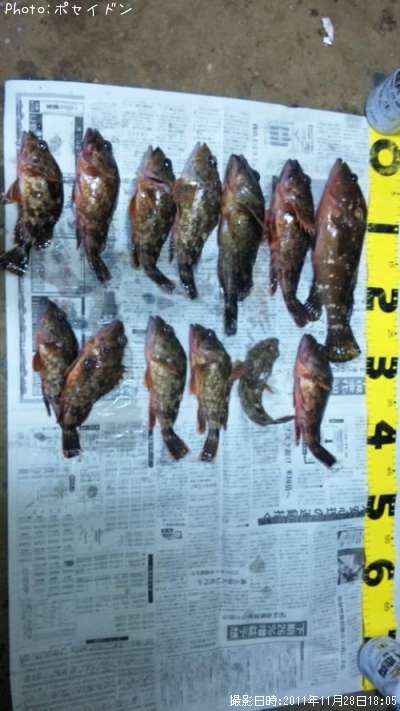 ��������������