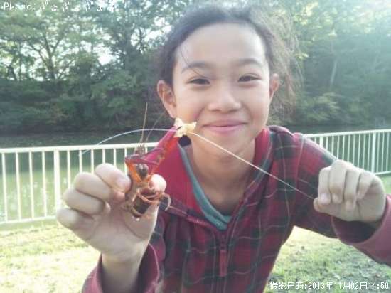 ����ꥫ���ꥬ��