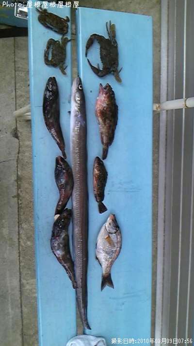 ���ʥ������������ʤɡ�