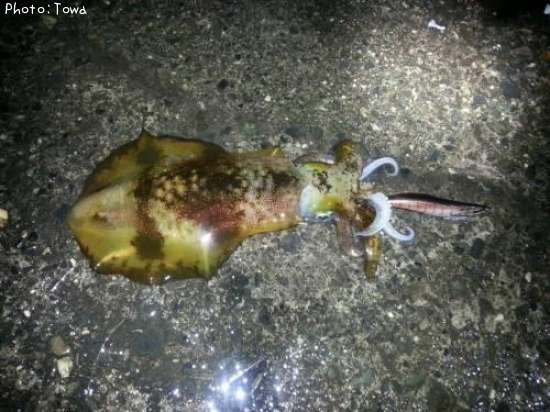 ����������