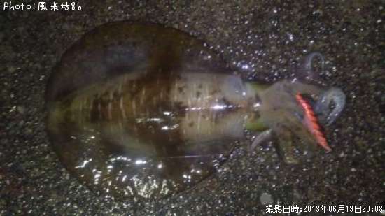 �����ꥤ��