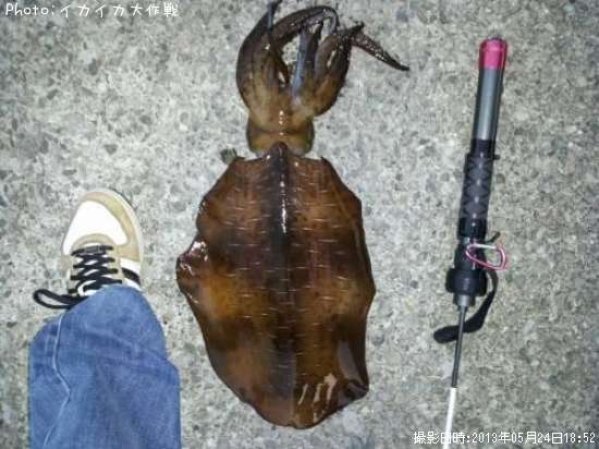 �����ꥤ��