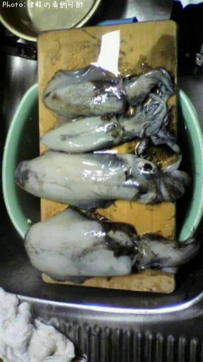 �����ꥤ��