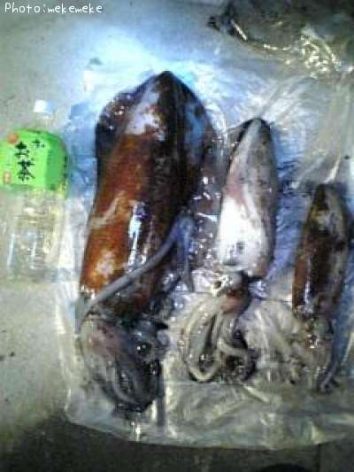 �����ꥤ��