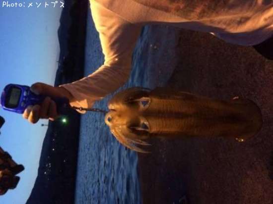 �����ꥤ��