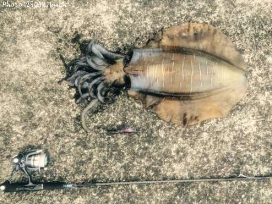 �����ꤤ��