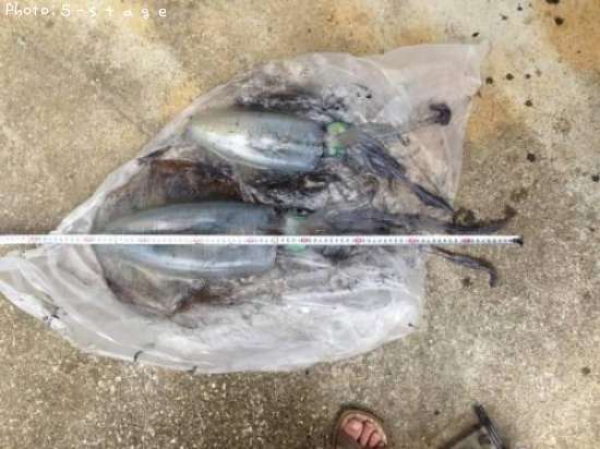 �����ꤤ��