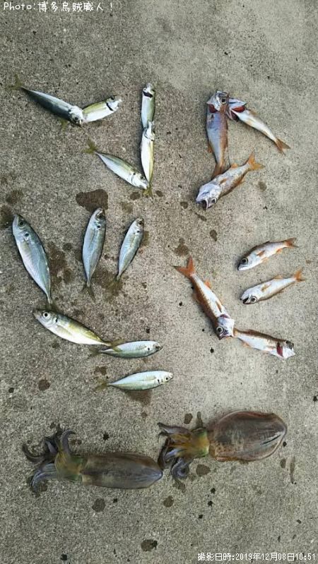 �����ꥤ������ġ�����