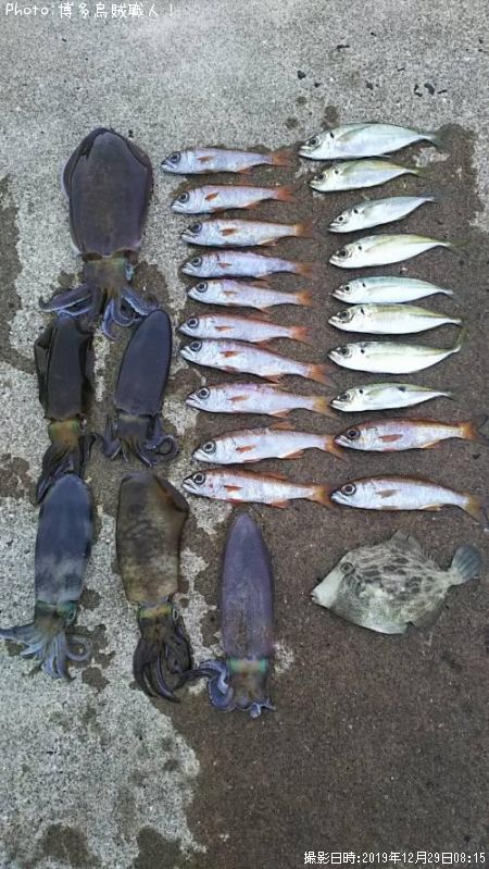 �����ꥤ������ġ�����������ϥ�