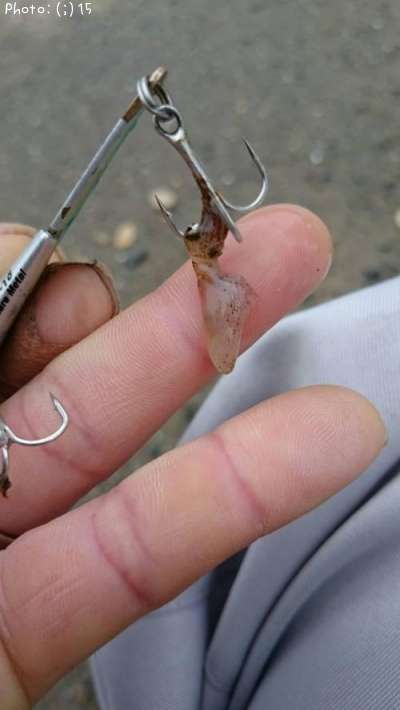 �����ꥤ�����֤���󡩡�