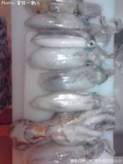 �����ꥤ���ȥ�������ʾС�