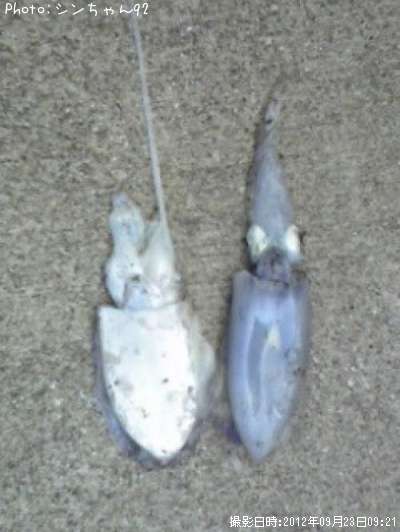 �����ꡢ��������