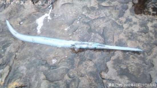 �����䥬��