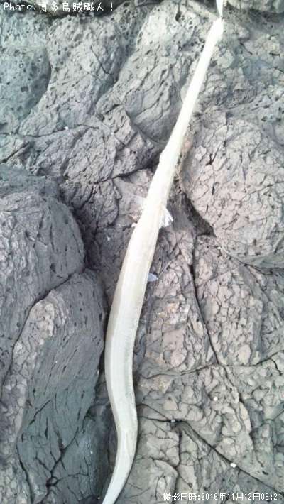 �����䥬��