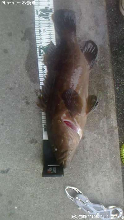 ���顡���ʡ�