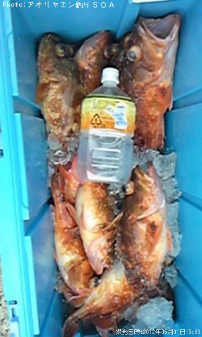 ����ᥫ����