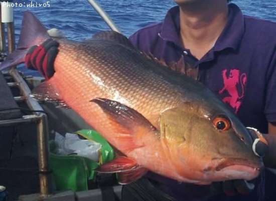 �Х�ե�����