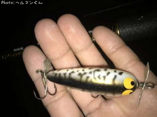 �Х��륢���ʥͥ���