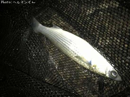 �٥��ȡʥܥ��