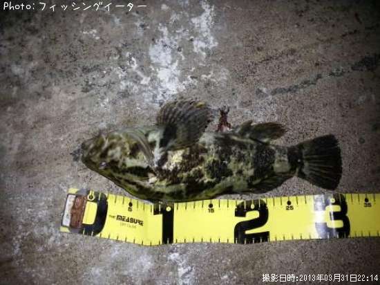 �٥å�������