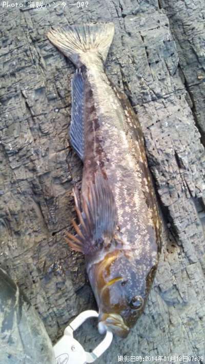 �٥å������������ʥ�