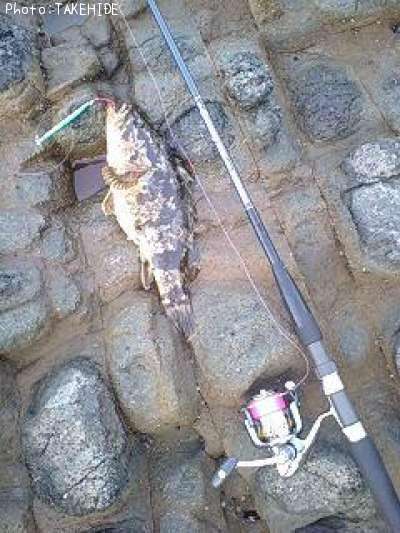 �٥å�������