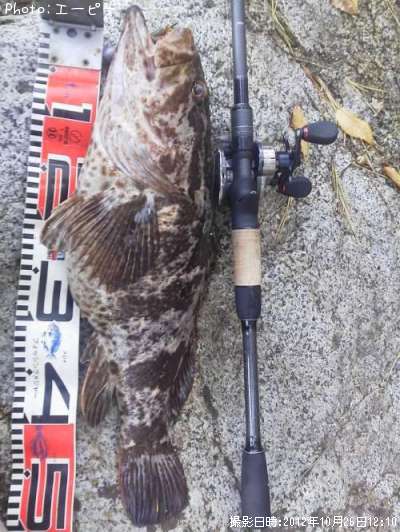 �٥å�������