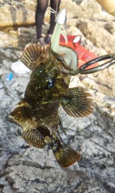 �٥å�������