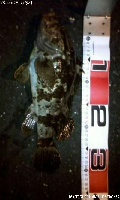 �٥å�������