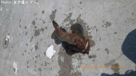 �٥�������