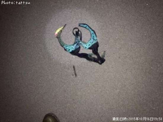 �֥饸�㡼