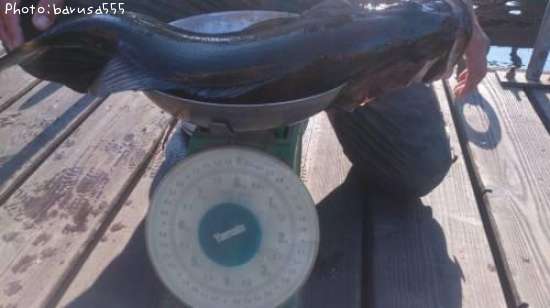 �֥�å��Х�