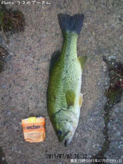 �֥�å��Х�