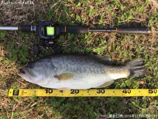 �֥�å��Х�