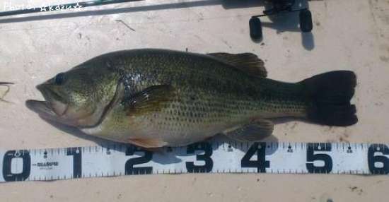 �֥�å��Х�