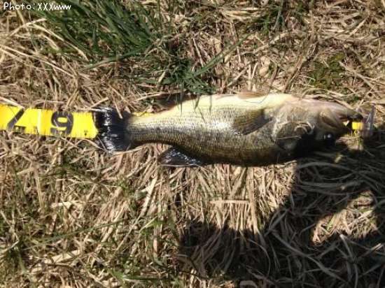 �֥�å��Х�