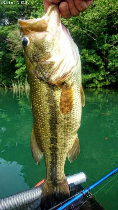 �֥�å��Х�