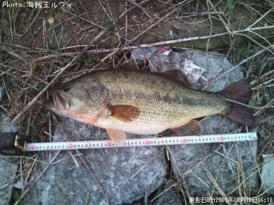 �֥�å��Х�