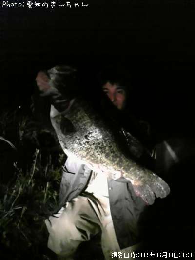 �֥�å��Х�