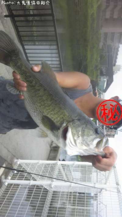 �֥�å��Х�