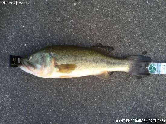 �֥�å��Х�