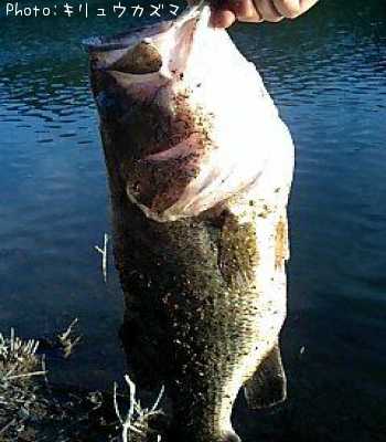 �֥�å��Х�