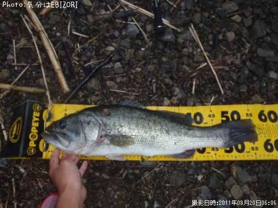 �֥�å��Х�