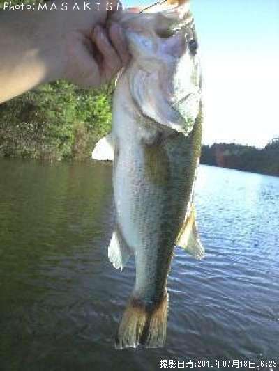 �֥�å��Х�