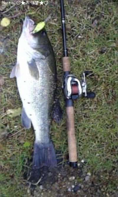 �֥�å��Х�